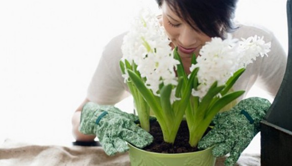 почва для цветов