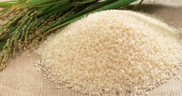 Белый рис для тренировок